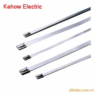 Stainless steel cable tie